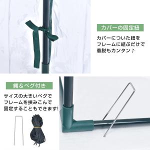 ビニールハウス 家庭用 ビニール温室 温室 家...の詳細画像5