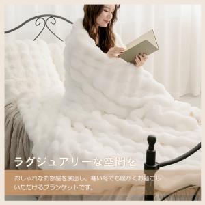 毛布 ふわとろ 2枚合わせ 厚手 ダブル 洗え...の詳細画像2