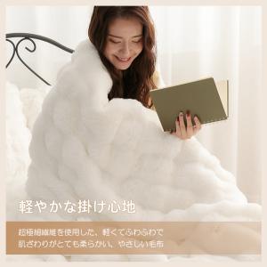毛布 ふわとろ 2枚合わせ 厚手 ダブル 洗え...の詳細画像3