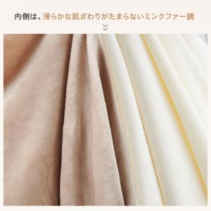 毛布 ふわとろ 2枚合わせ 厚手 ダブル 洗え...の詳細画像5