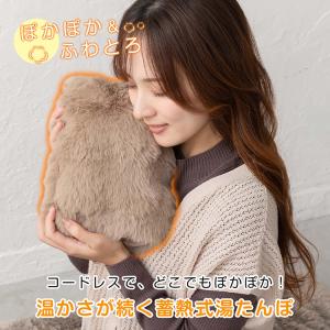 湯たんぽ 蓄熱式湯たんぽ 電気湯たんぽ 電気あ...の詳細画像1