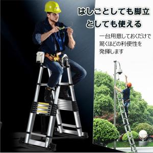 はしご 8m 脚立 伸縮はしご 足場台 洗車台...の詳細画像1