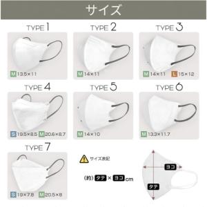 マスク 不織布 20枚 立体 不織布マスク 立...の詳細画像3