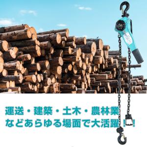 レバーホイスト 0.75t チェーン 1.5m...の詳細画像4