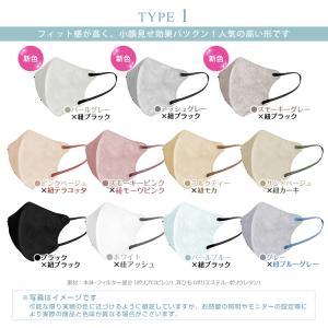 マスク 不織布 40枚 立体 不織布マスク 立...の詳細画像5