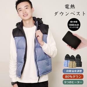 FEHLING（フェーリング） エンジンガード ZEPHYR 750 [ゼファー] 550