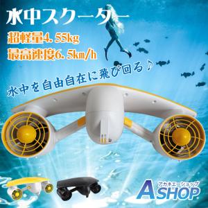 水中スクーター 電動 小型 海 沖縄 スキューバーダイビング