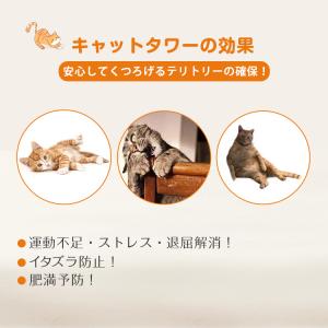 キャットタワー 大型猫用 木製 木 省スペース...の詳細画像1