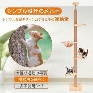 キャットタワー 大型猫用 木製 木 省スペース...の詳細画像3