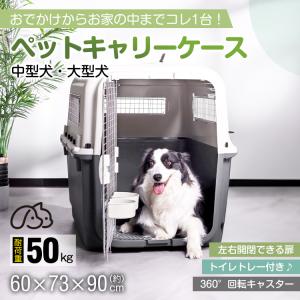2面ドア　ペットロッジ ＤＤクレート Ｌサイズ 犬用ハウス Amazon | ペットロッジ (Pet Lodge) DDクレート L | ペット