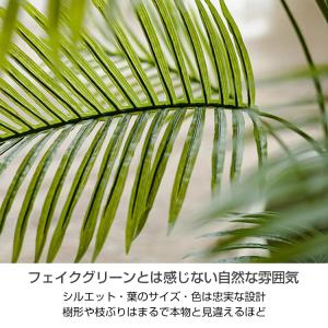フェイクグリーン 観葉植物 母の日 花 プレゼ...の詳細画像2
