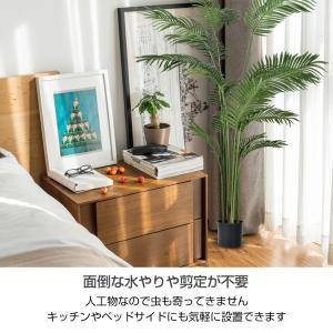 フェイクグリーン 観葉植物 母の日 花 プレゼ...の詳細画像5