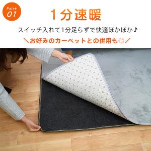 ホットカーペット 1畳 本体 ダニ退治 節電 ...の詳細画像3