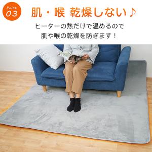 ホットカーペット 1畳 本体 ダニ退治 節電 ...の詳細画像5