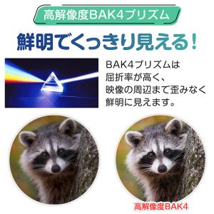 双眼鏡 コンサート 高倍率 ライブ 10倍 ド...の詳細画像5