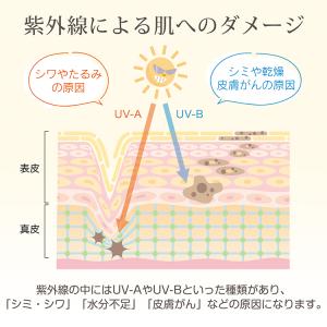 日傘 完全遮光 折りたたみ 軽量 軽量日傘 折...の詳細画像4