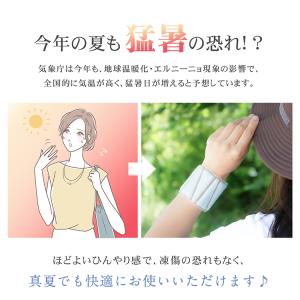 熱中症対策グッズ 手首 サポーター 保冷剤 冷...の詳細画像3