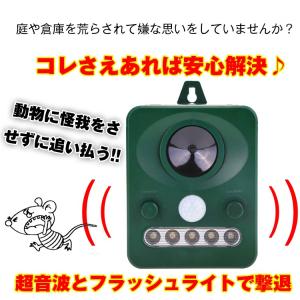 ネズミ駆除 鳥よけグッズ 鳥よけ 猫よけ 超音...の詳細画像1