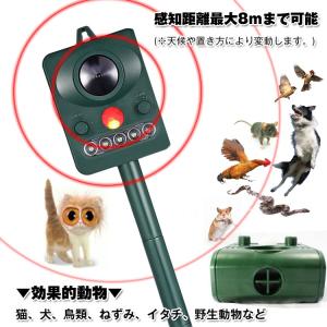 ネズミ駆除 鳥よけグッズ 鳥よけ 猫よけ 超音...の詳細画像4