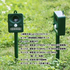 ネズミ駆除 鳥よけグッズ 鳥よけ 猫よけ 超音...の詳細画像5