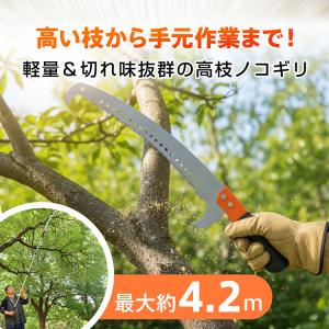 高枝ノコギリ ノコギリ 竹 高枝切りノコギリ ...の詳細画像1