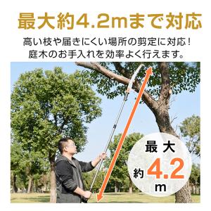 高枝ノコギリ ノコギリ 竹 高枝切りノコギリ ...の詳細画像3