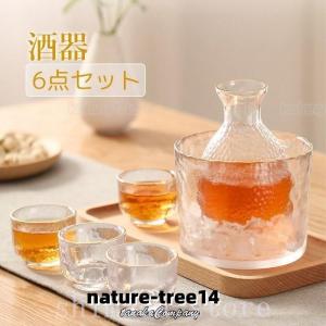 冷酒器 6点セット ガラス 酒器セット 耐熱 熱燗 冷酒グラス