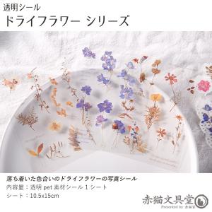 全5種 透明シール「ドライフラワー」0274 ...の詳細画像1