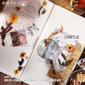 全5種 透明シール「ドライフラワー」0274 ...の詳細画像3
