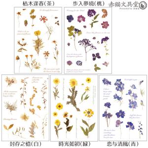 全5種 透明シール「ドライフラワー」0274 ...の詳細画像5
