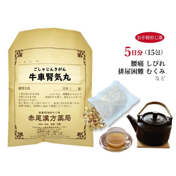 牛車腎気丸 ごしゃじんきがん お手軽煎じ薬 5日分15包 腰痛 しびれ 排尿困難 頻尿 むくみ 薬局...