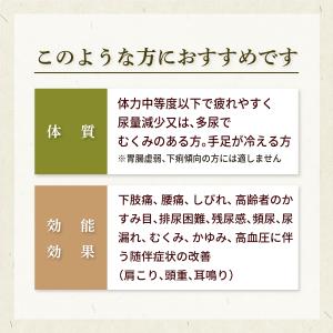 八味地黄丸 ハチミジオウガン お手軽煎じ薬 1...の詳細画像1