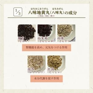 八味地黄丸 ハチミジオウガン お手軽煎じ薬 1...の詳細画像2