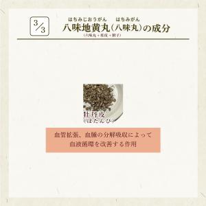 八味地黄丸 ハチミジオウガン お手軽煎じ薬 1...の詳細画像4