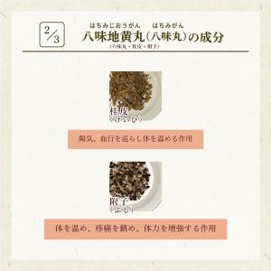 八味地黄丸 ハチミジオウガン 東洋薬行 810...の詳細画像3