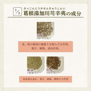 葛根湯加川キュウ辛夷 かっこんとうかせんきゅう...の詳細画像2