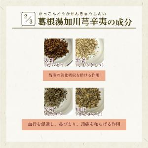 葛根湯加川キュウ辛夷 かっこんとうかせんきゅう...の詳細画像3