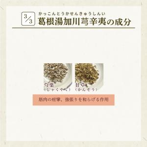 葛根湯加川キュウ辛夷 かっこんとうかせんきゅう...の詳細画像4