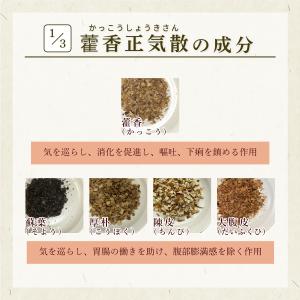 カッ香正気散 カッコウショウキサン 30包 松...の詳細画像2