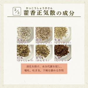 カッ香正気散 カッコウショウキサン 30包 松...の詳細画像3