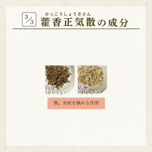 カッ香正気散 カッコウショウキサン 30包 松...の詳細画像4
