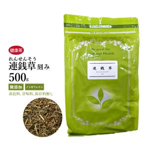 栃本天海堂 文火楽々〔漢方煎じ器〕（とろびらんらん） EK-SA10 1台