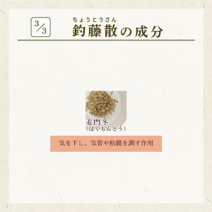 釣藤散 チョウトウサン 30包 松浦薬業 エキ...の詳細画像4