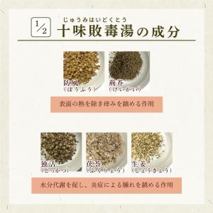 十味敗毒湯 じゅうみはいどくとう 長倉製薬 粒...の詳細画像2