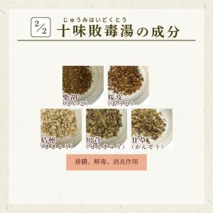 十味敗毒湯 じゅうみはいどくとう 長倉製薬 粒...の詳細画像3