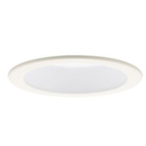 新品未使用ダウンライト LGD9100K、LLD2000LCE1、20個 Panasonic（パナソニック） 【送料無料】 XAD1100LKCE1