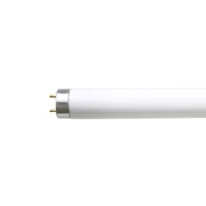 【未使用・保管品】Panasonic CF220T4EN 冷陰極蛍光灯 4本 Panasonic（パナソニック） CF220T4EN （FL9224018） 冷陰極蛍光灯誘導