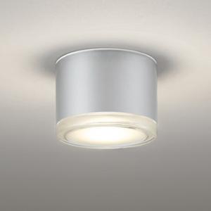 OR037039 オーデリック 非常灯 白熱灯器具100W相当 電球色 防雨型の商品画像