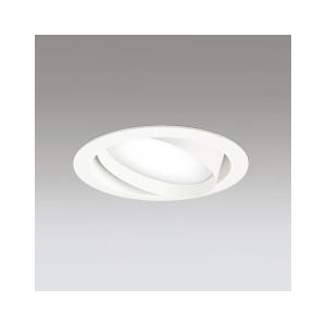 Panasonic（パナソニック） NTS62053W テクニカル照明 ユニバーサル