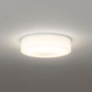 Van　オーデリック LEDシーリングライト ホワイト ODELIC（オーデリック） OG254873R 軒下シーリングライト 白熱灯器具